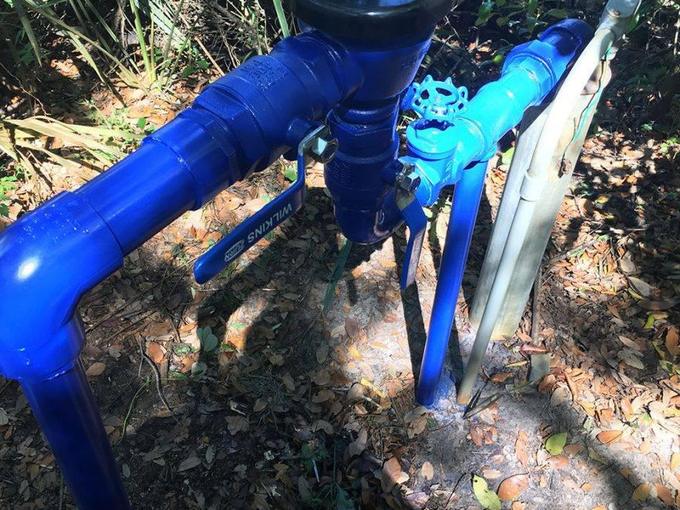 Blue painted backflow prevention assembly installed outdoors in overgrown ground