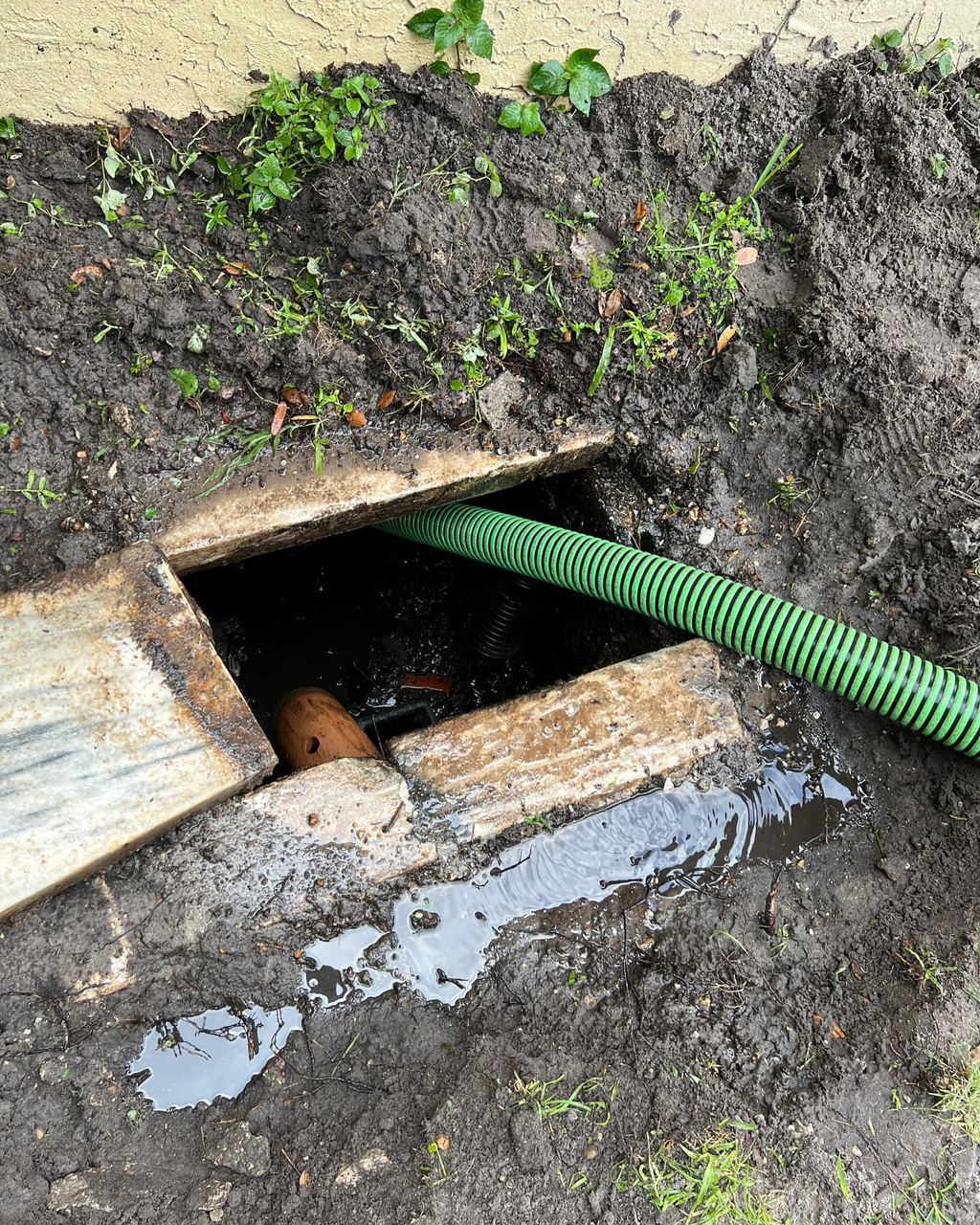 Concrete septic tank lid slid aside with a green suction hose feeding down into the tank